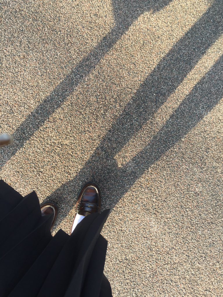 まめ(@touhucans)さんが2017年07月07日17時16分に投稿した画像1